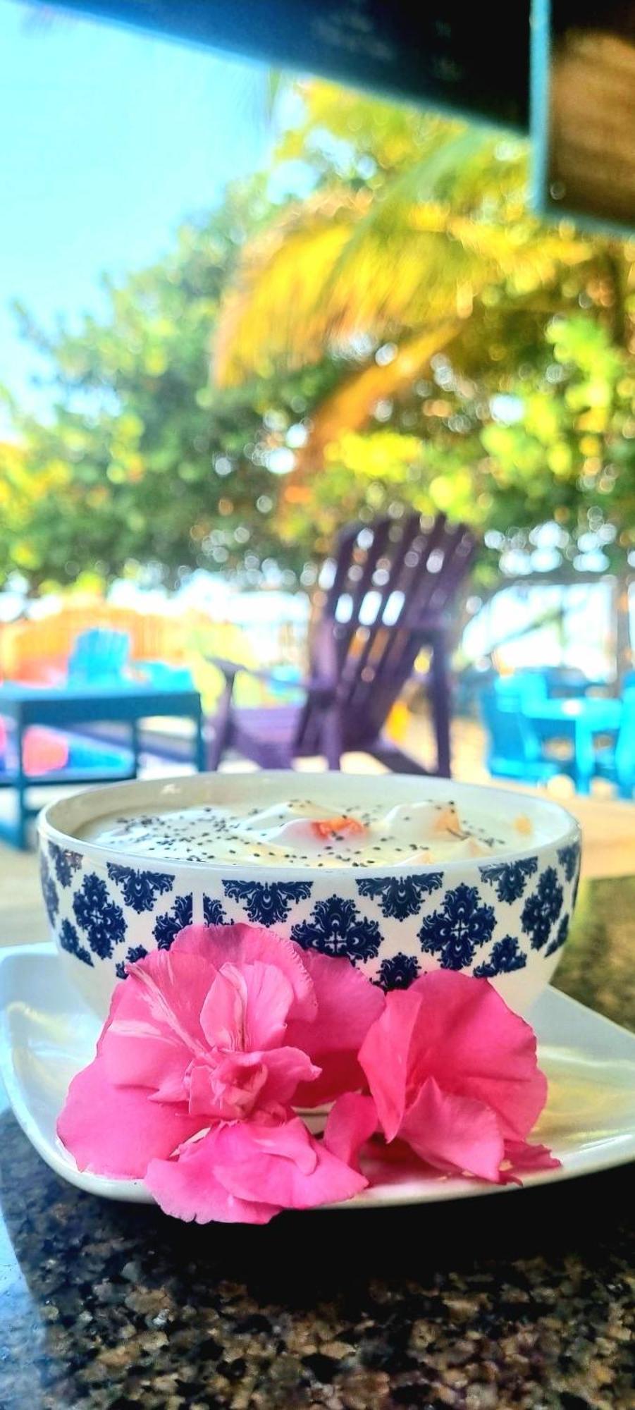 Guachaca Blue Mango Beach Hotel מראה חיצוני תמונה