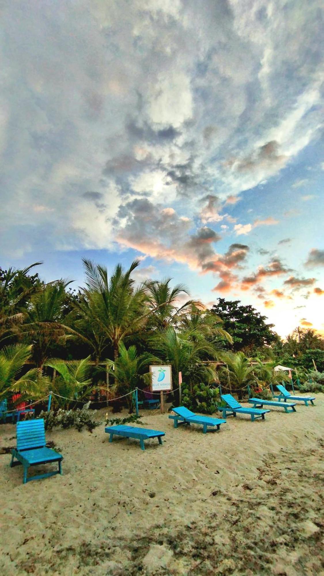 Guachaca Blue Mango Beach Hotel מראה חיצוני תמונה